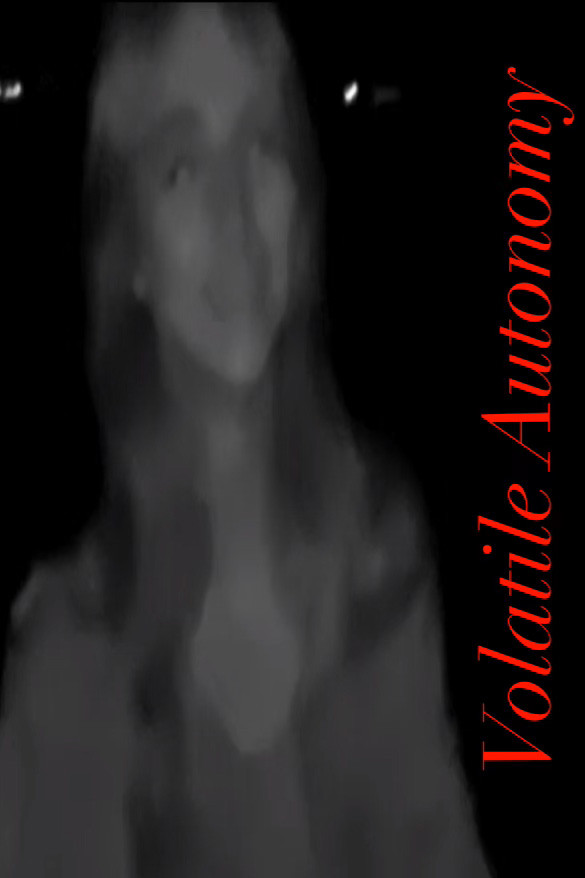 Volatile Autonomy (2024) poster