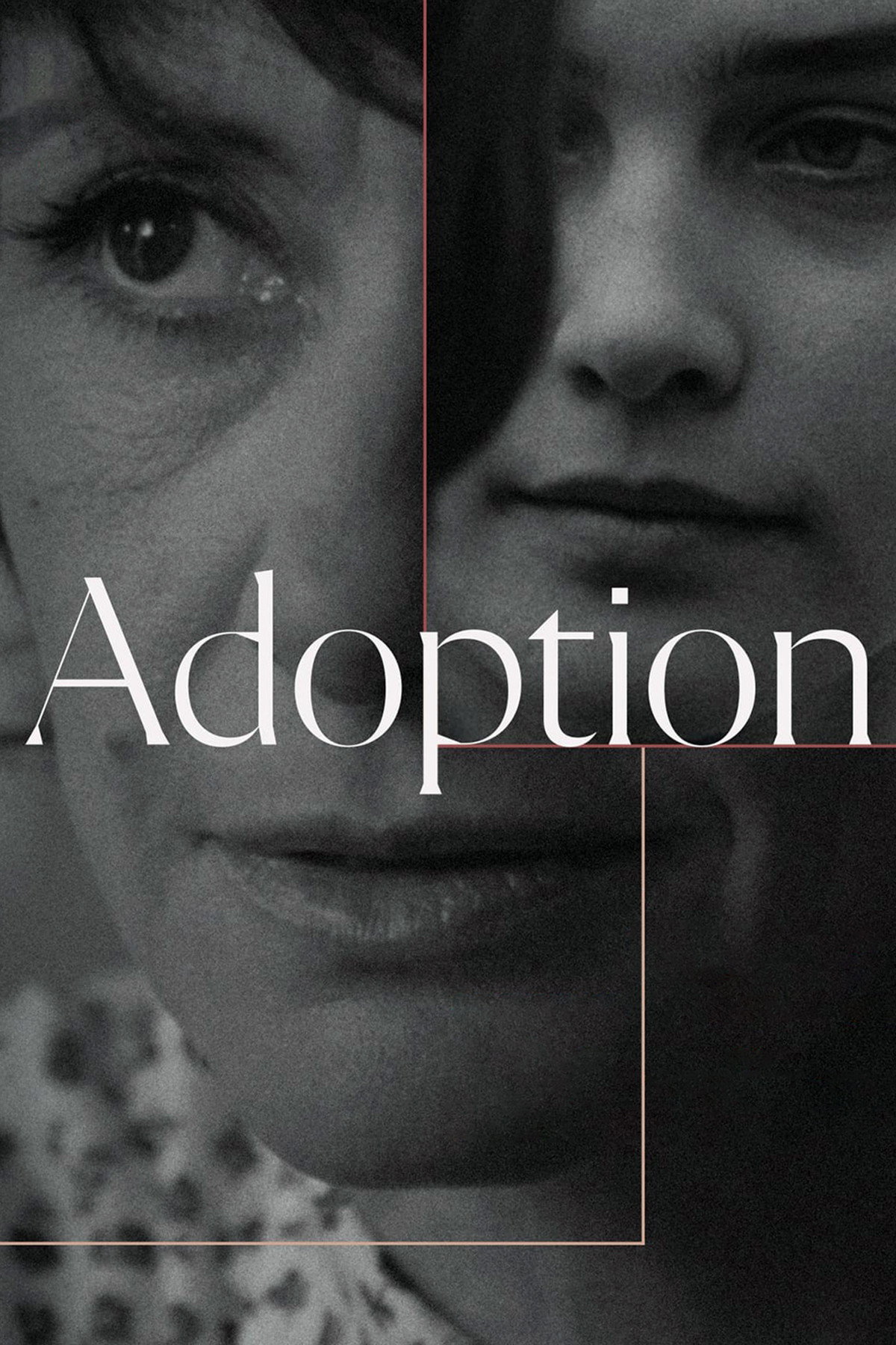 Adoption (1975) poster