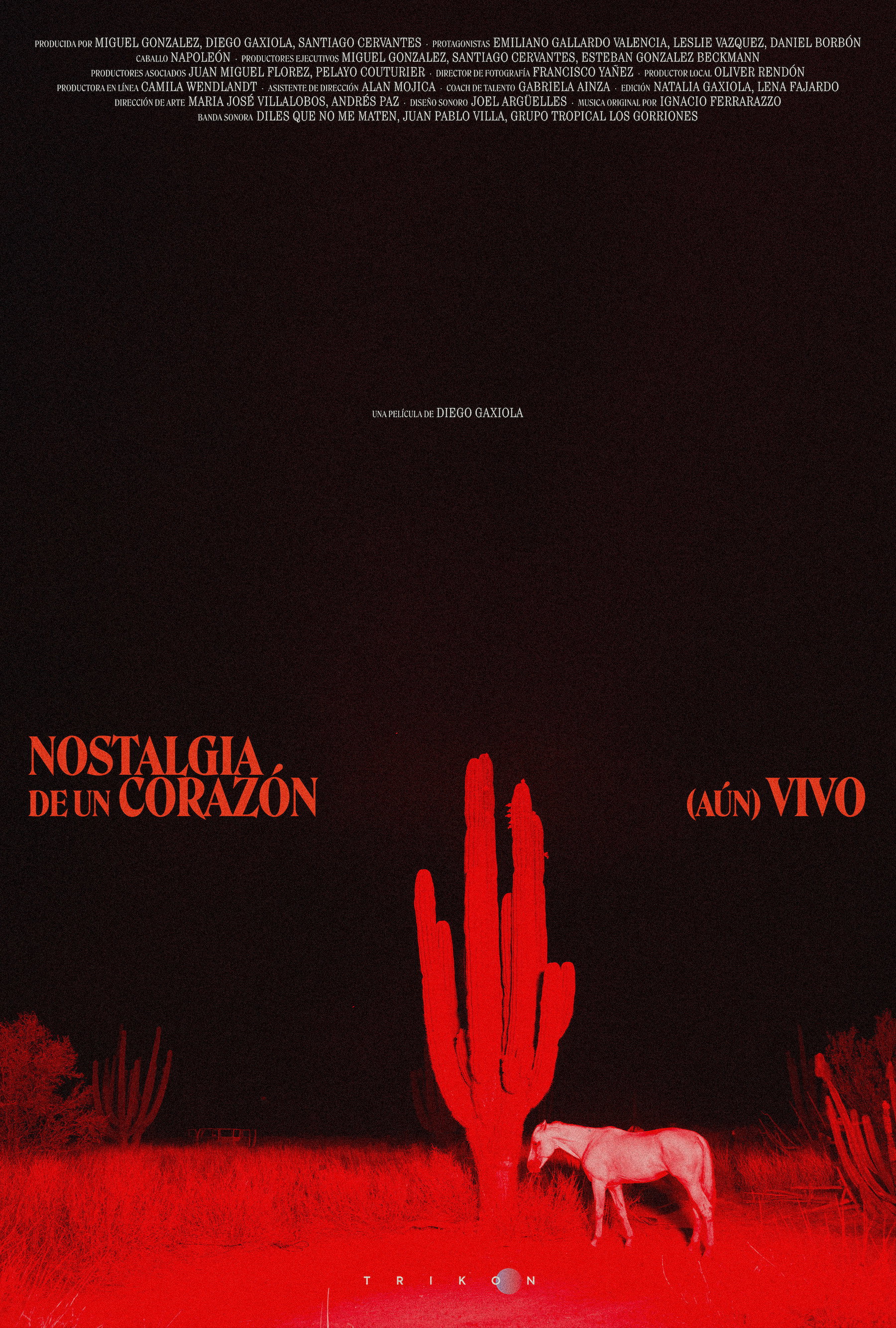 Nostalgia of a (Still) Alive Heart (2024) poster