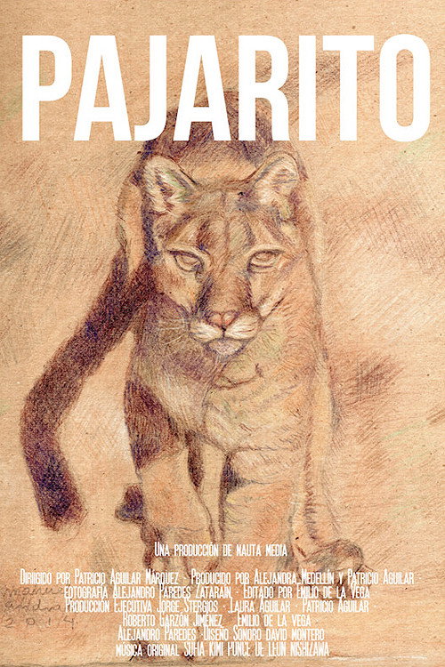 Pajarito (2022) poster