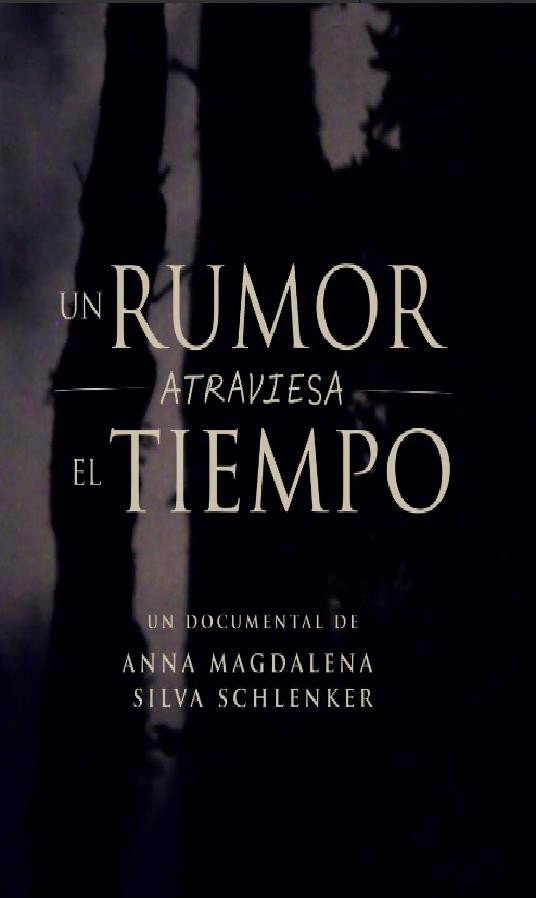 A Murmur Crosses Time (2013) poster