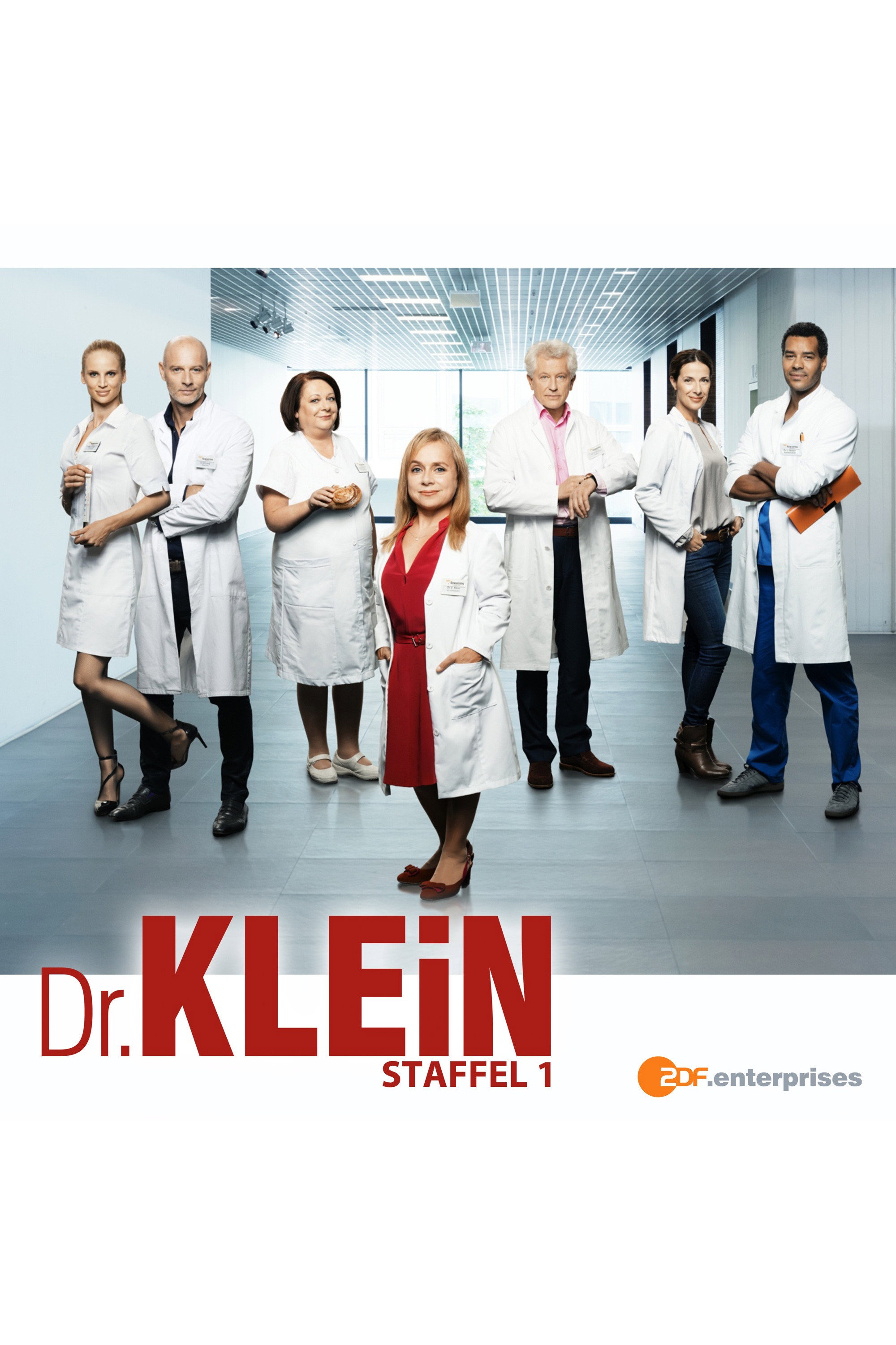Dr. Klein (2014) poster