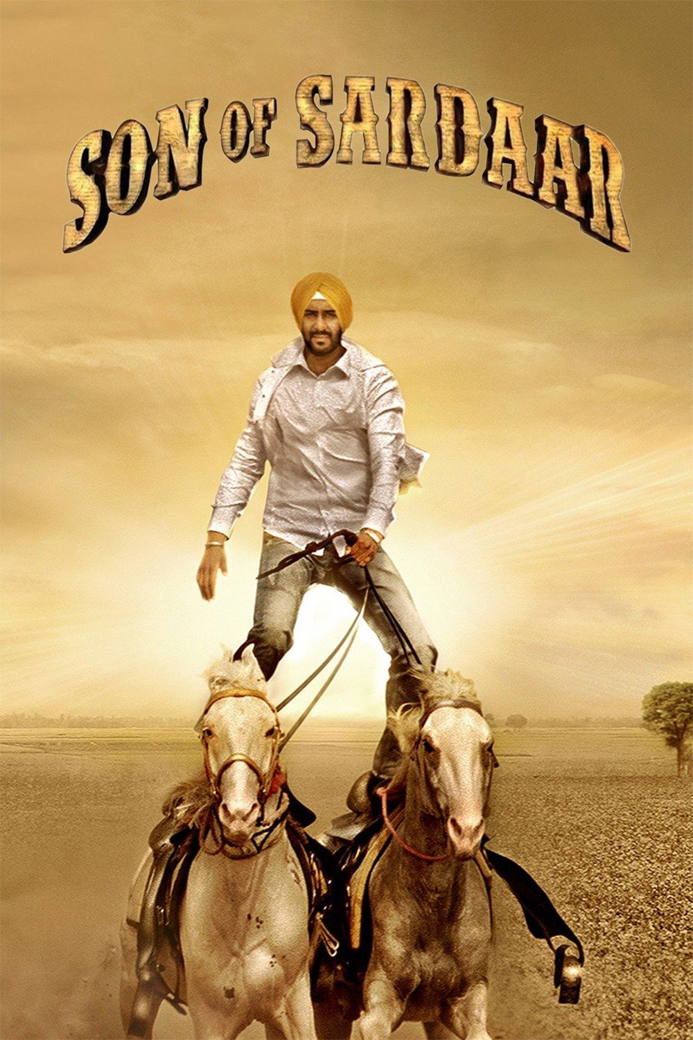 Son of Sardaar (2012) poster