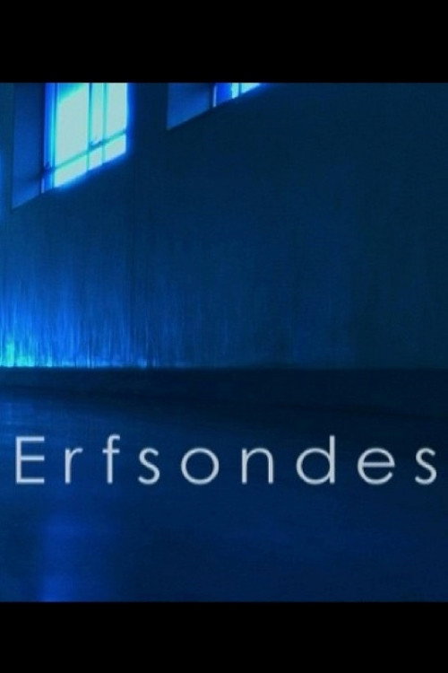 Erfsondes (2007) poster