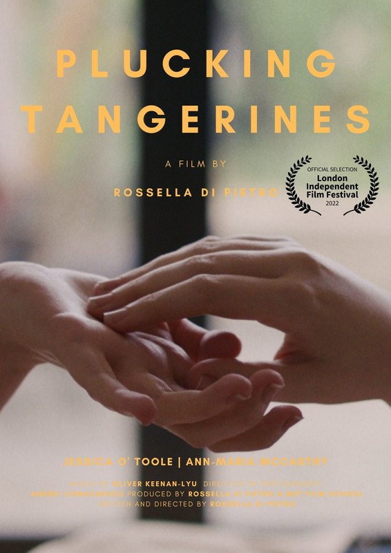 Plucking Tangerines (2026) poster