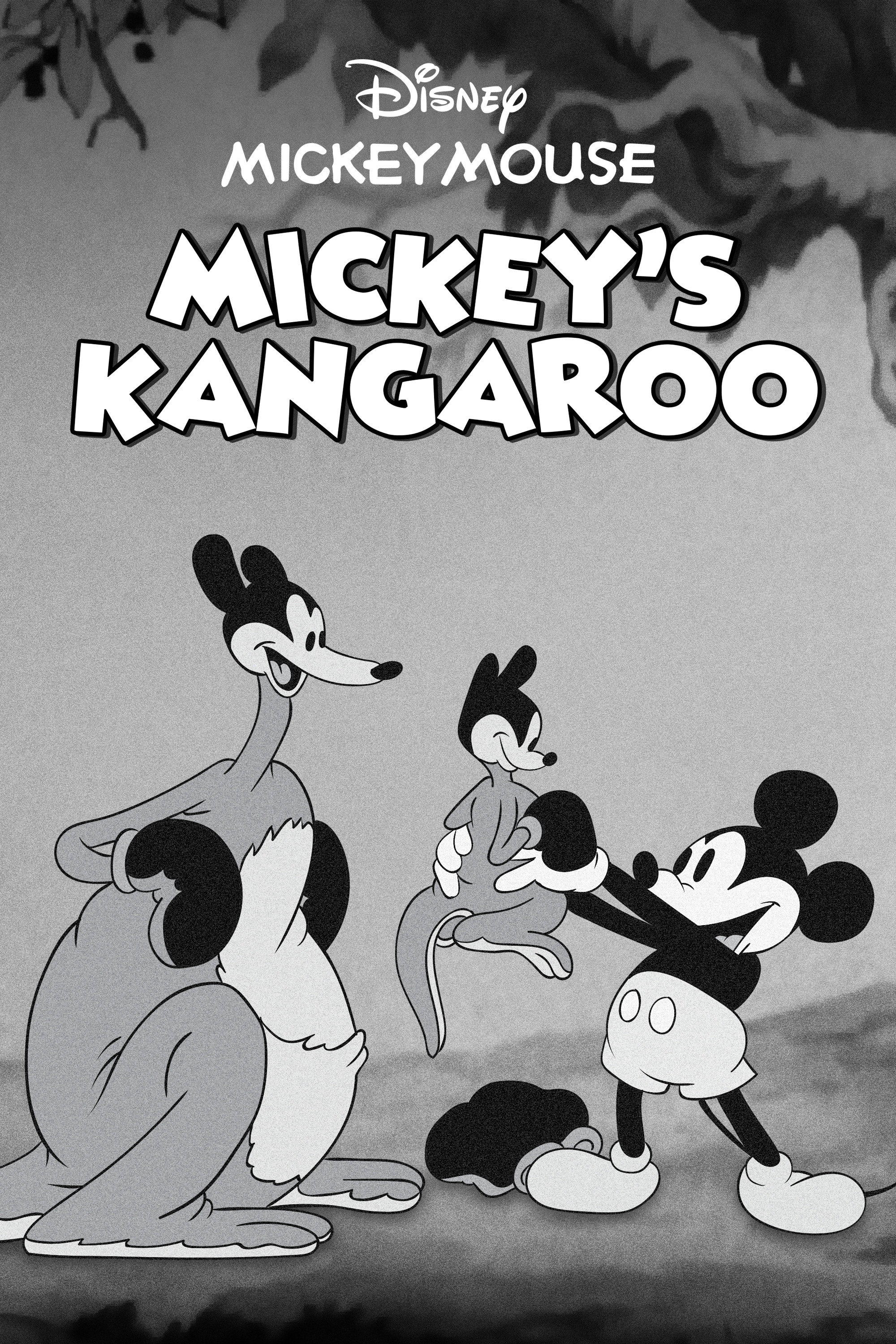 Mickey's Kangaroo (1935) poster