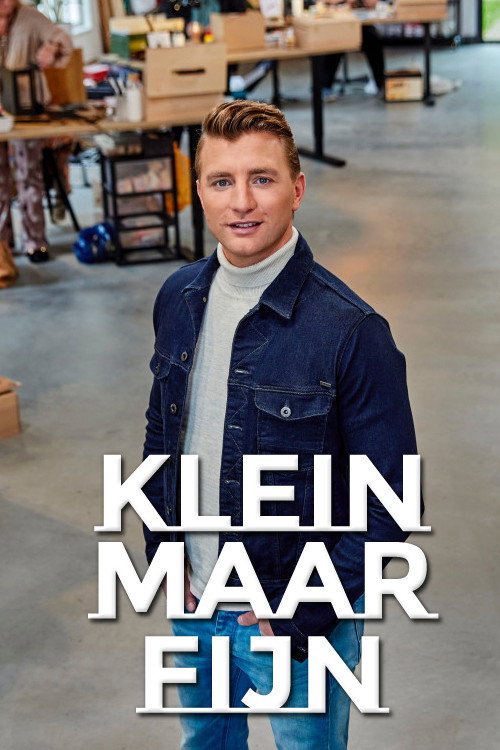 Klein maar fijn (2020) poster