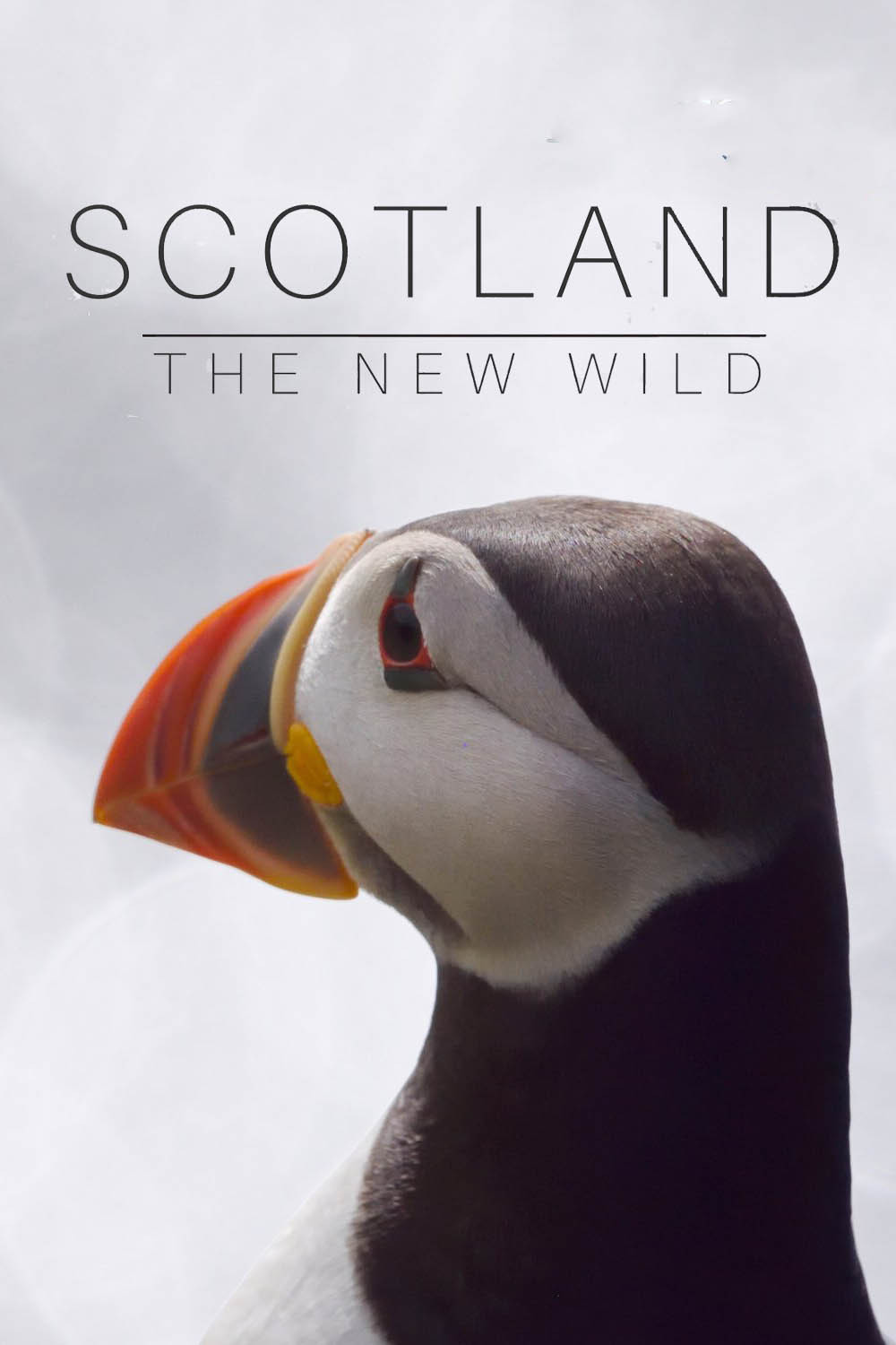 Scotland: The New Wild (2023) poster