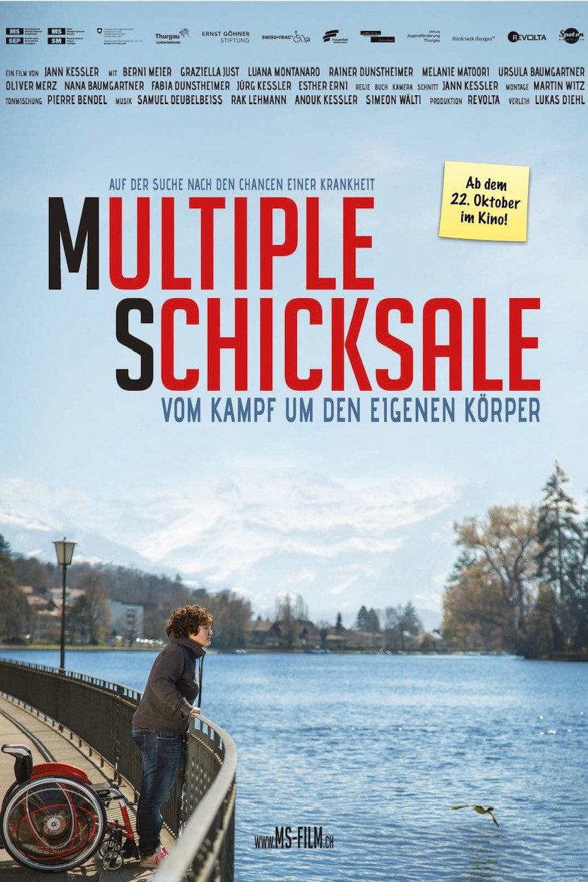 Multiple Schicksale (2016) poster