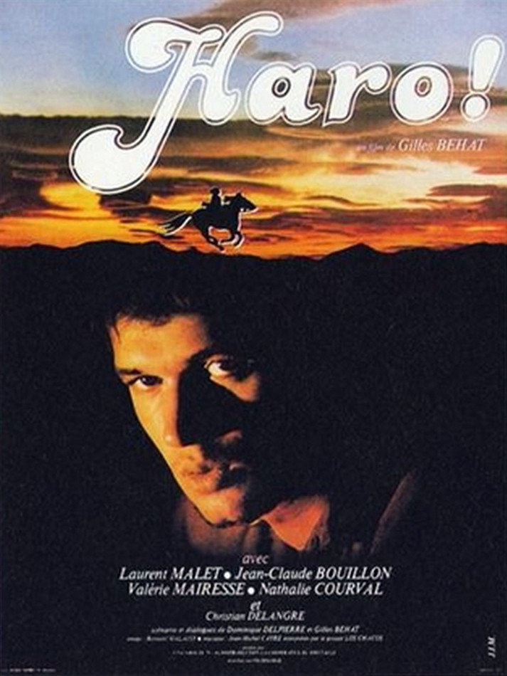 Hue and Cry (1978) poster
