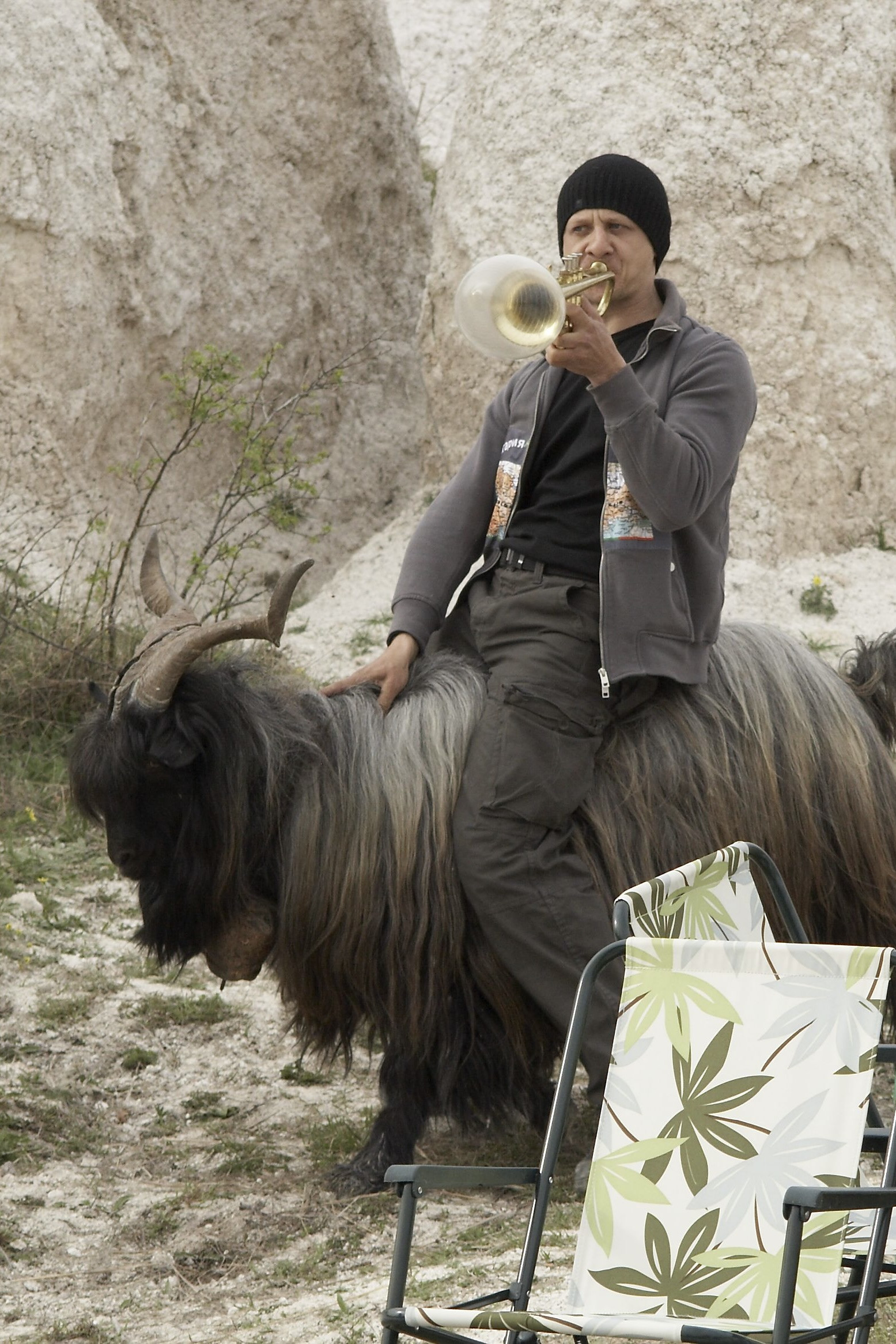 The Goat (2009) poster
