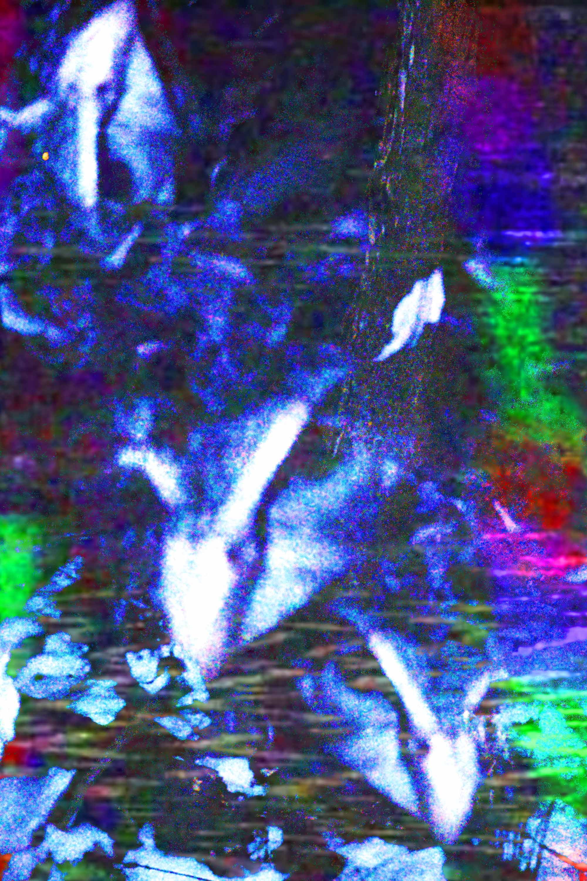 crow.mp4 (2026) poster