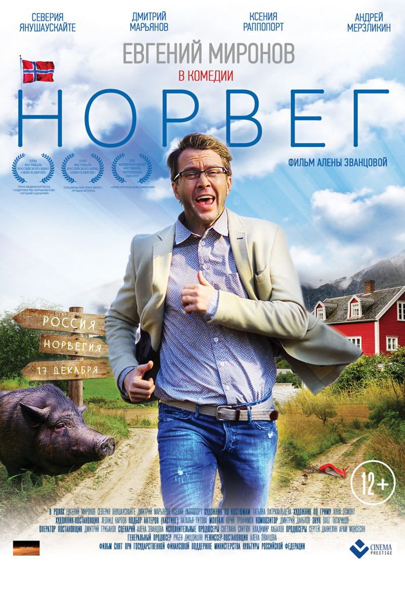 The Norseman (2015) poster