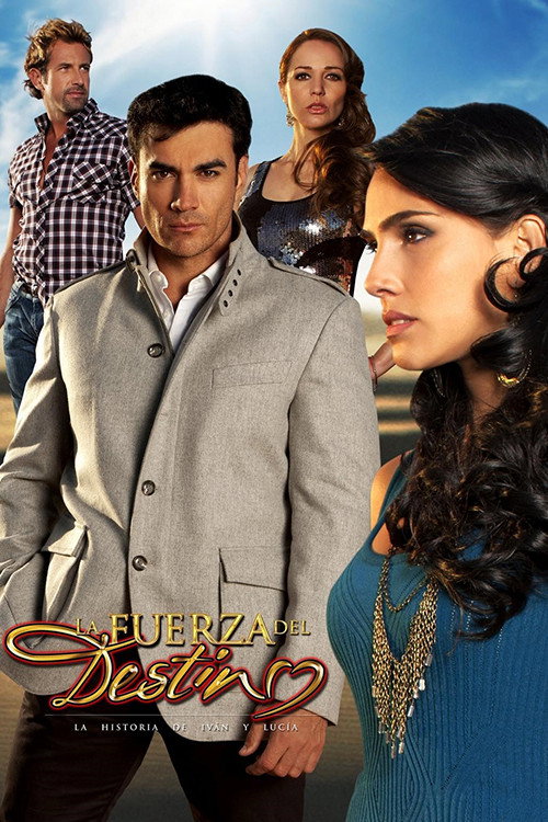 The Power of Destiny (2011) poster
