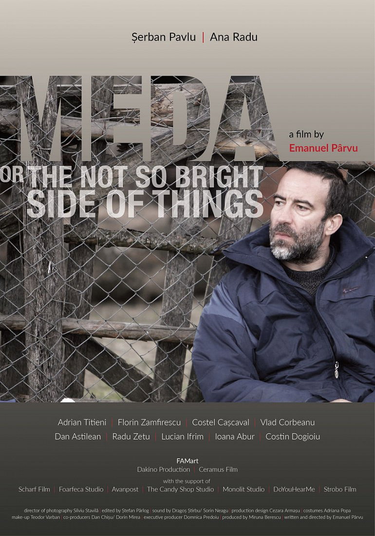 Meda or The Not So Bright Side of Things (2017) poster