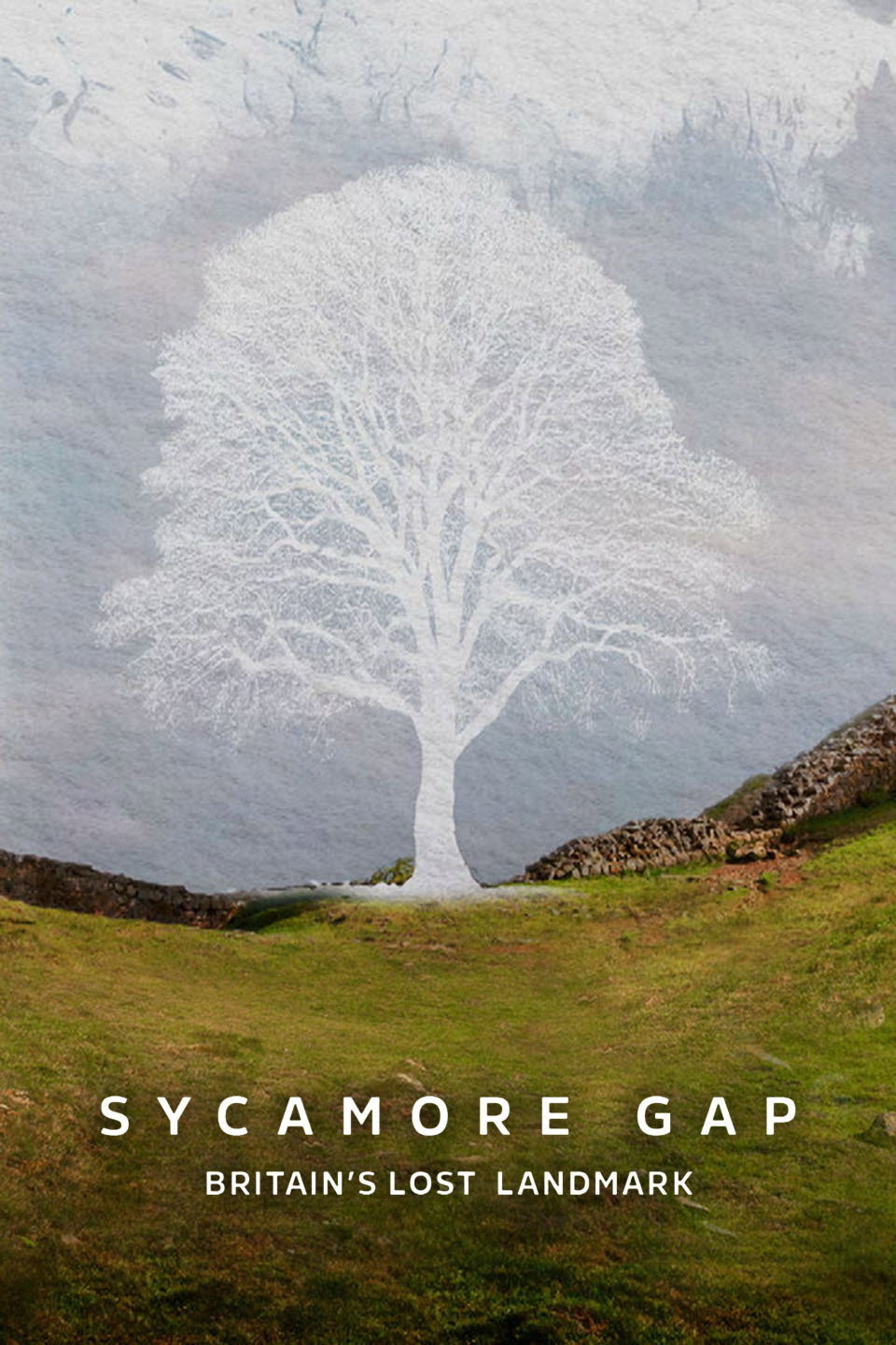 Sycamore Gap: Britain's Lost Landmark (2026) poster