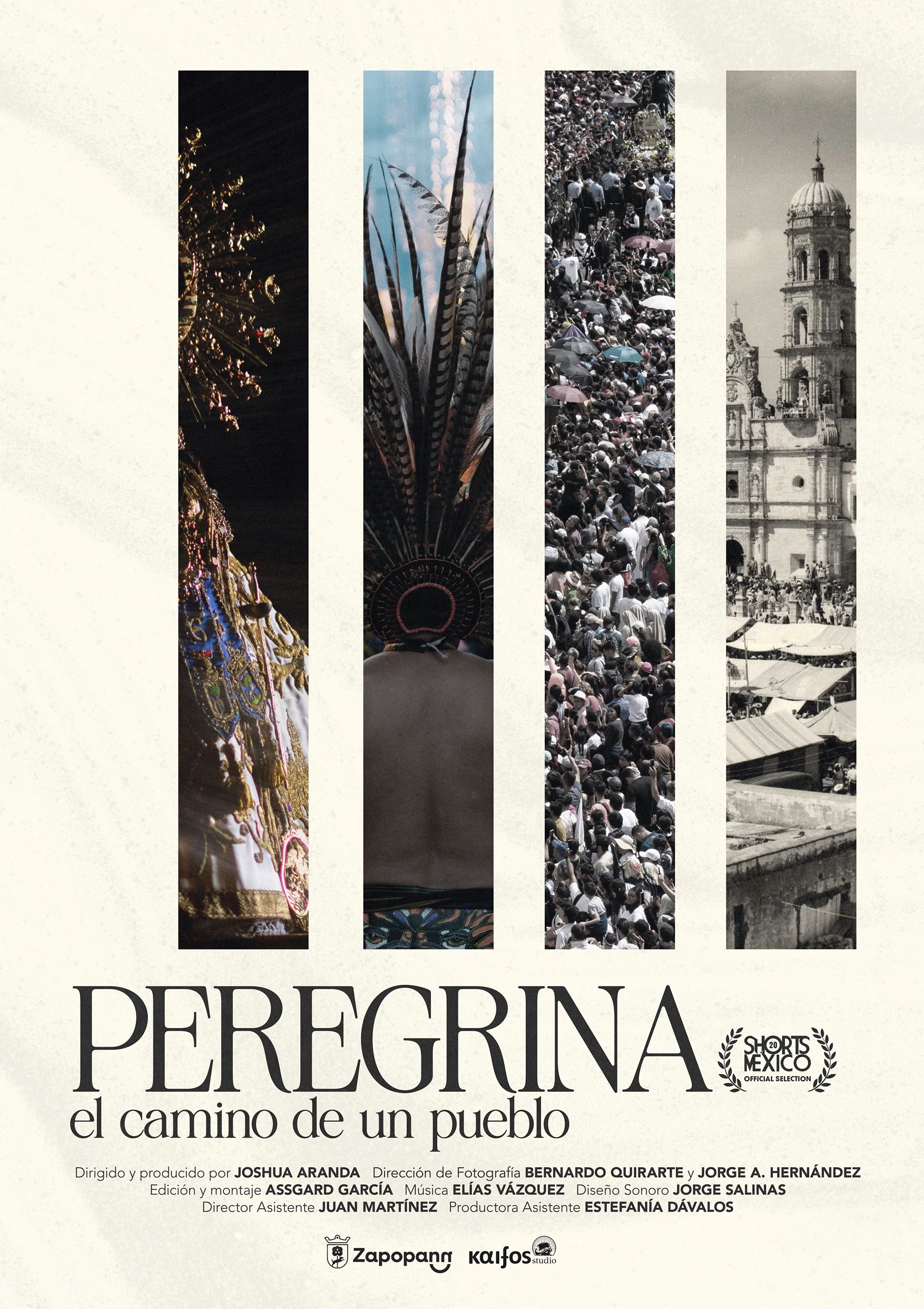 Pilgrim A people's journey (2025) poster