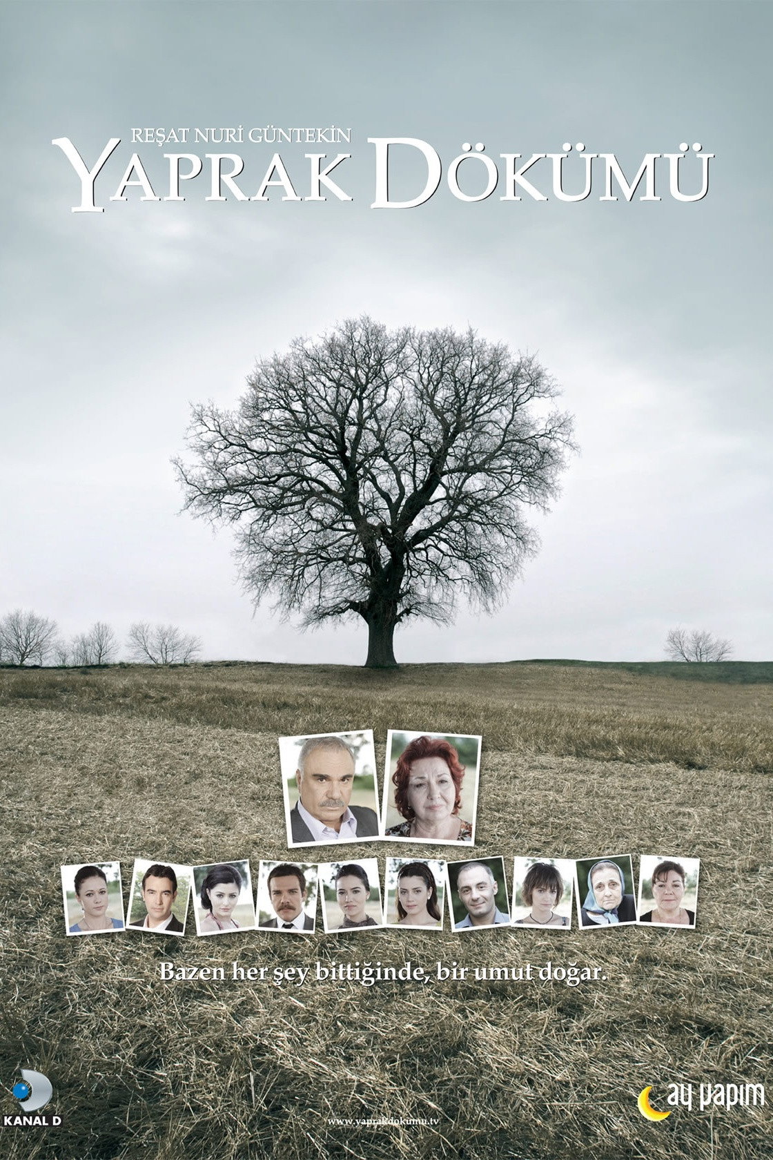 Falling Leaves (2006) poster