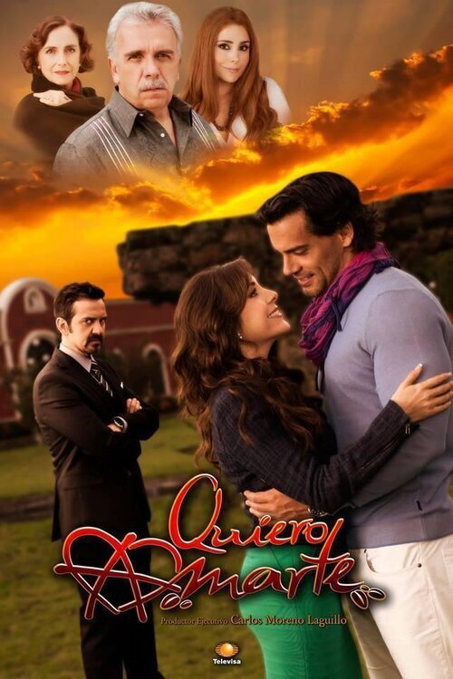 Quiero Amarte (2013) poster