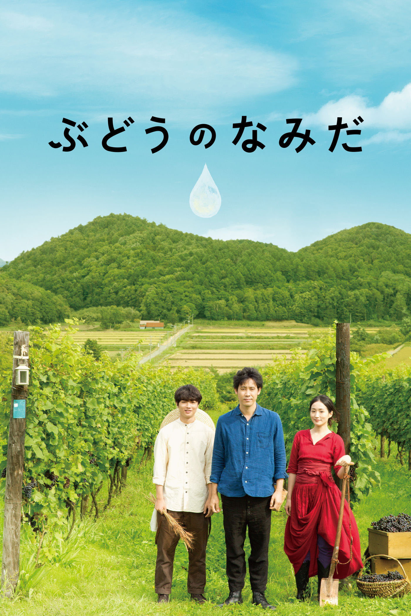 A Drop of the Grapevine (2014) poster