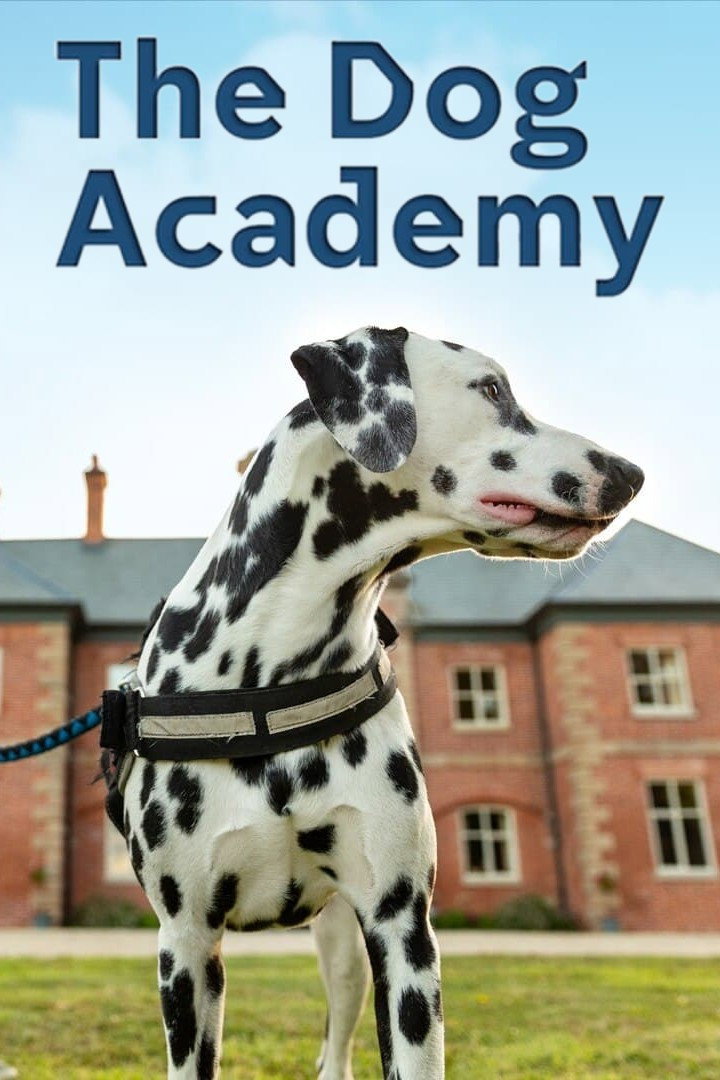 Bad Dog Academy (2023) poster