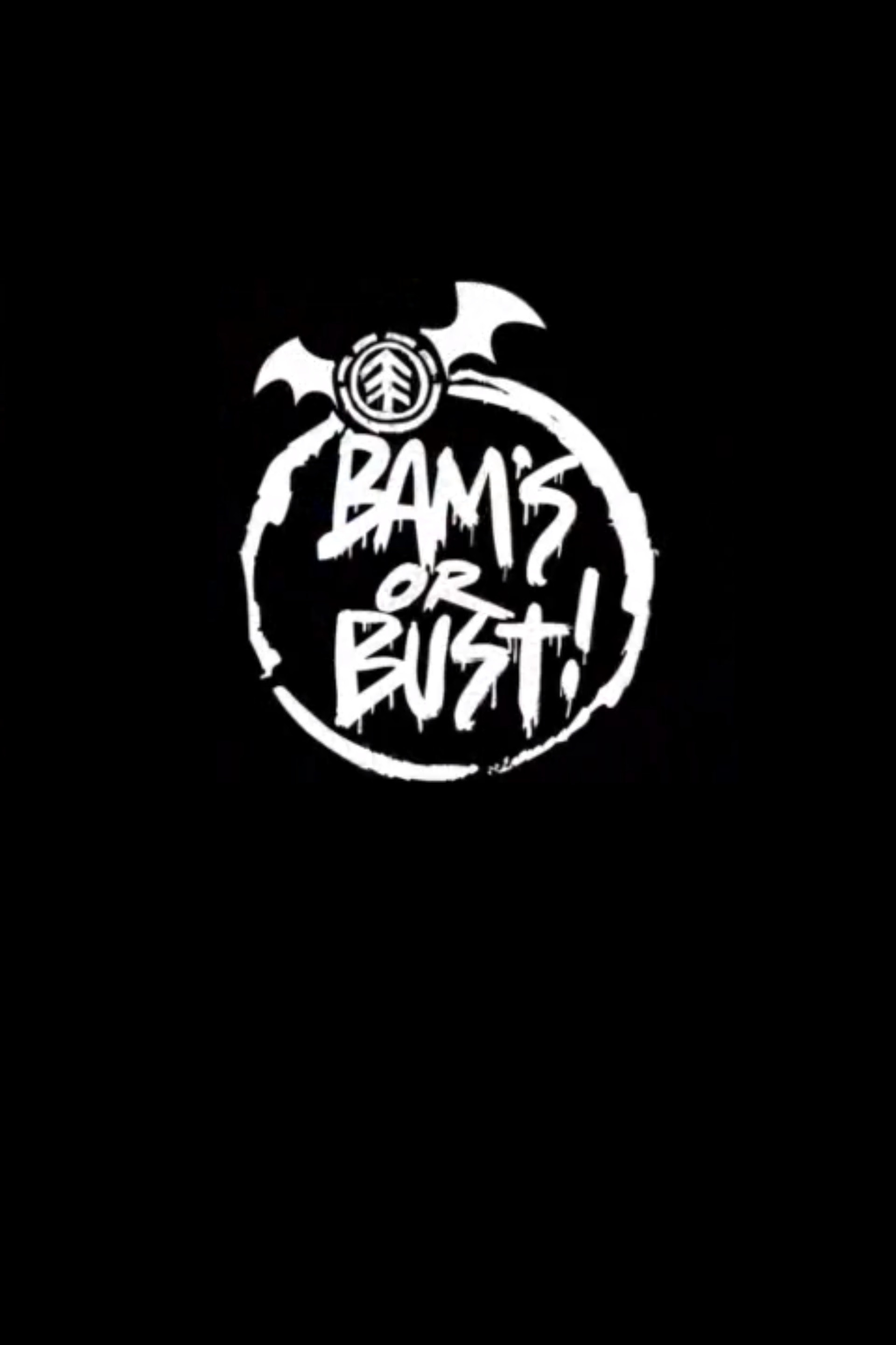 Bam's or Bust! (2008) poster
