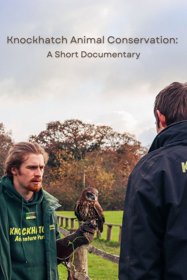 Knockhatch Animal Conservation: A Short Documentary (2026) poster