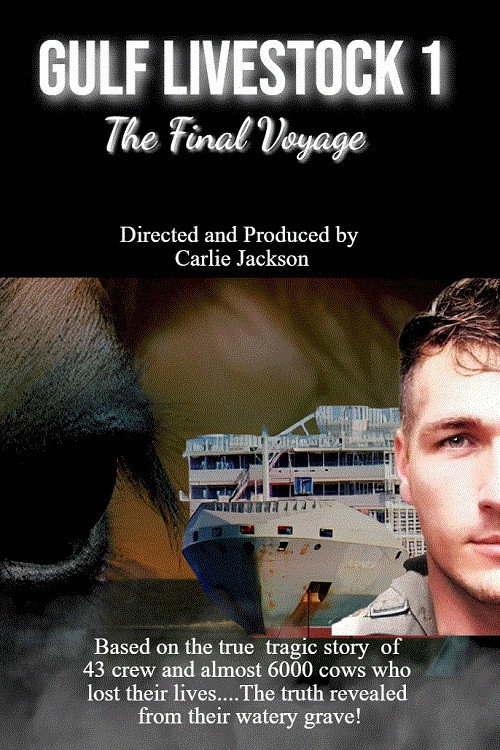 Gulf1 - The Final Voyage (2026) poster