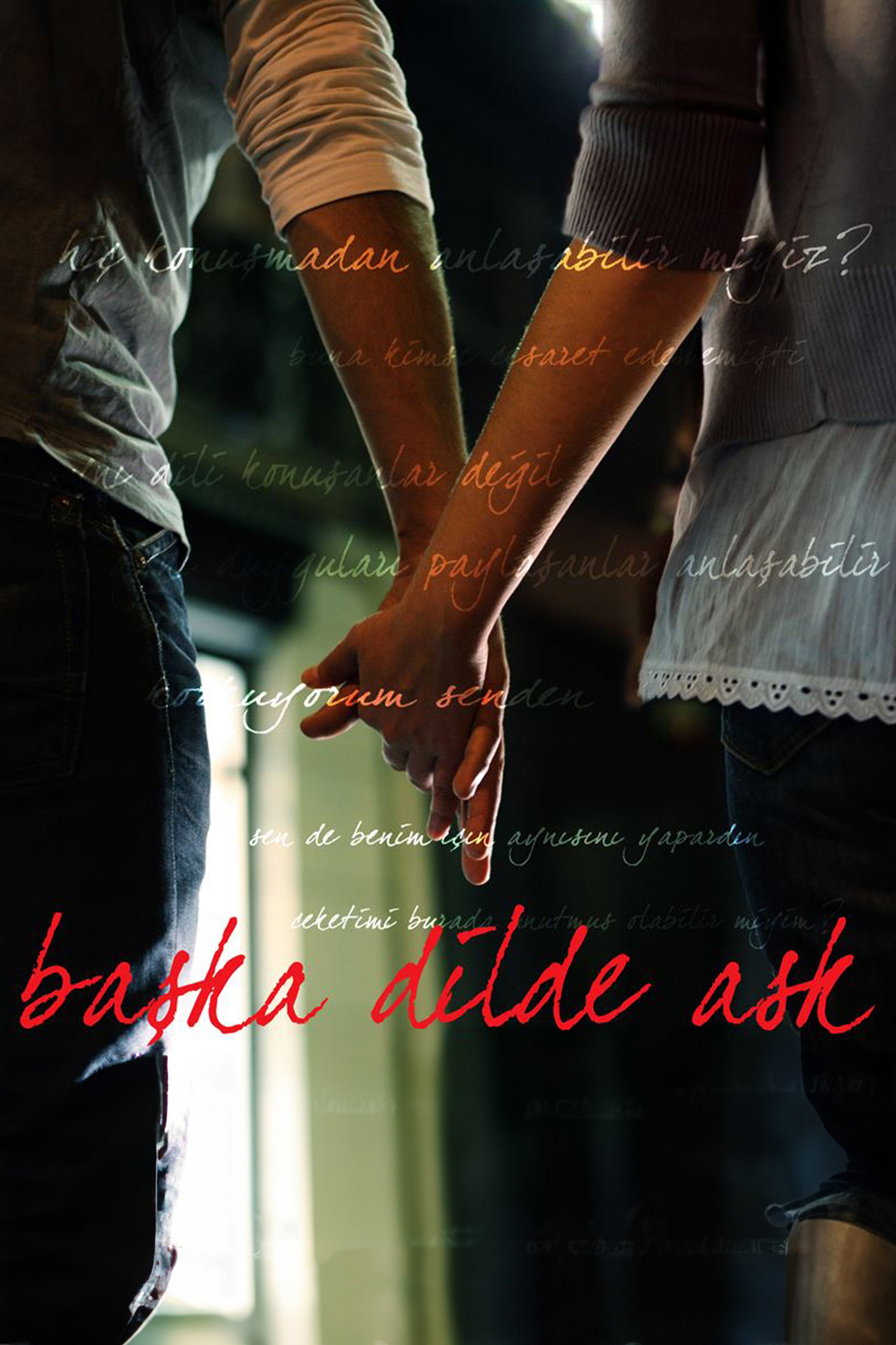 Love in Another Language (2009) poster