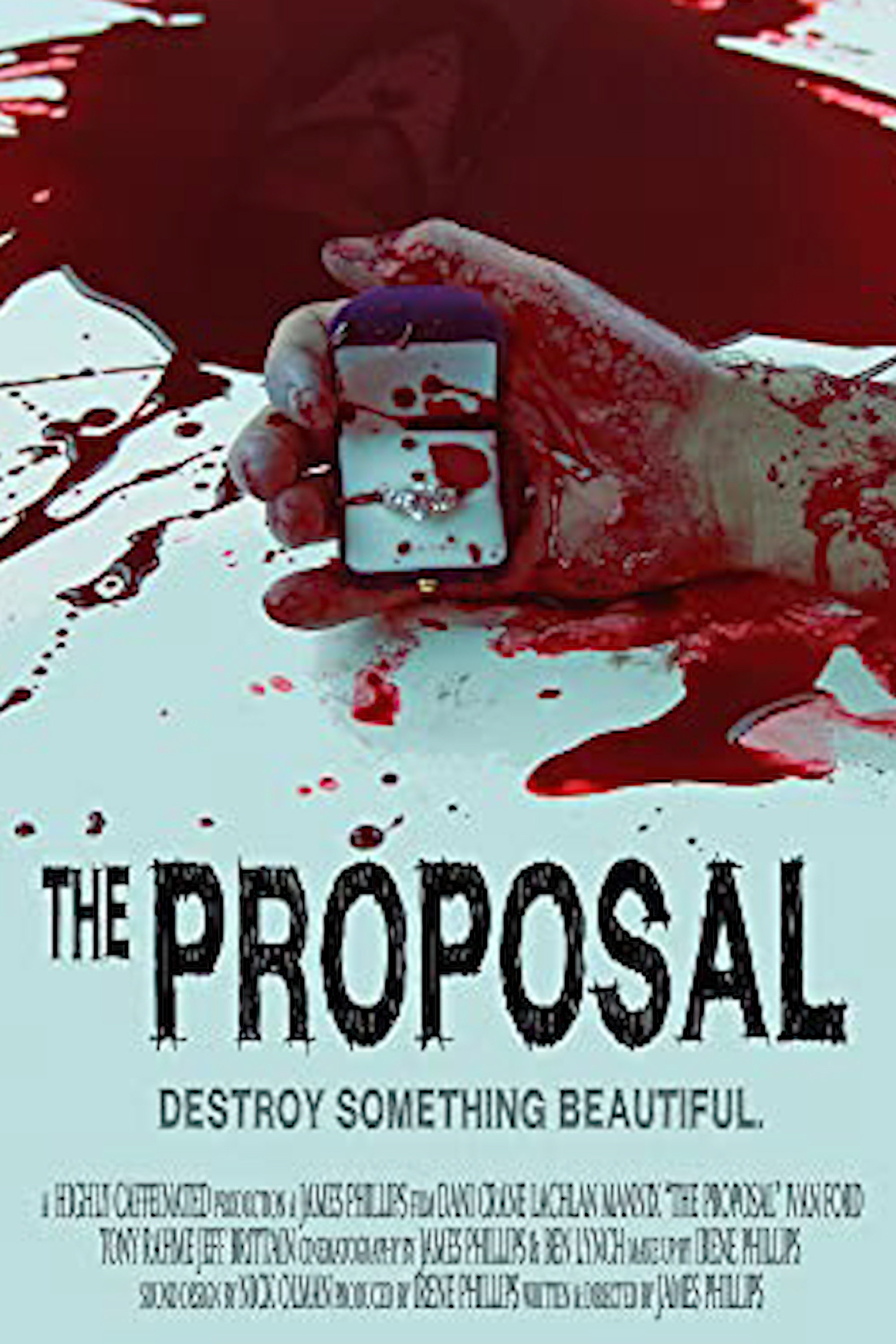 The Proposal (2012) poster