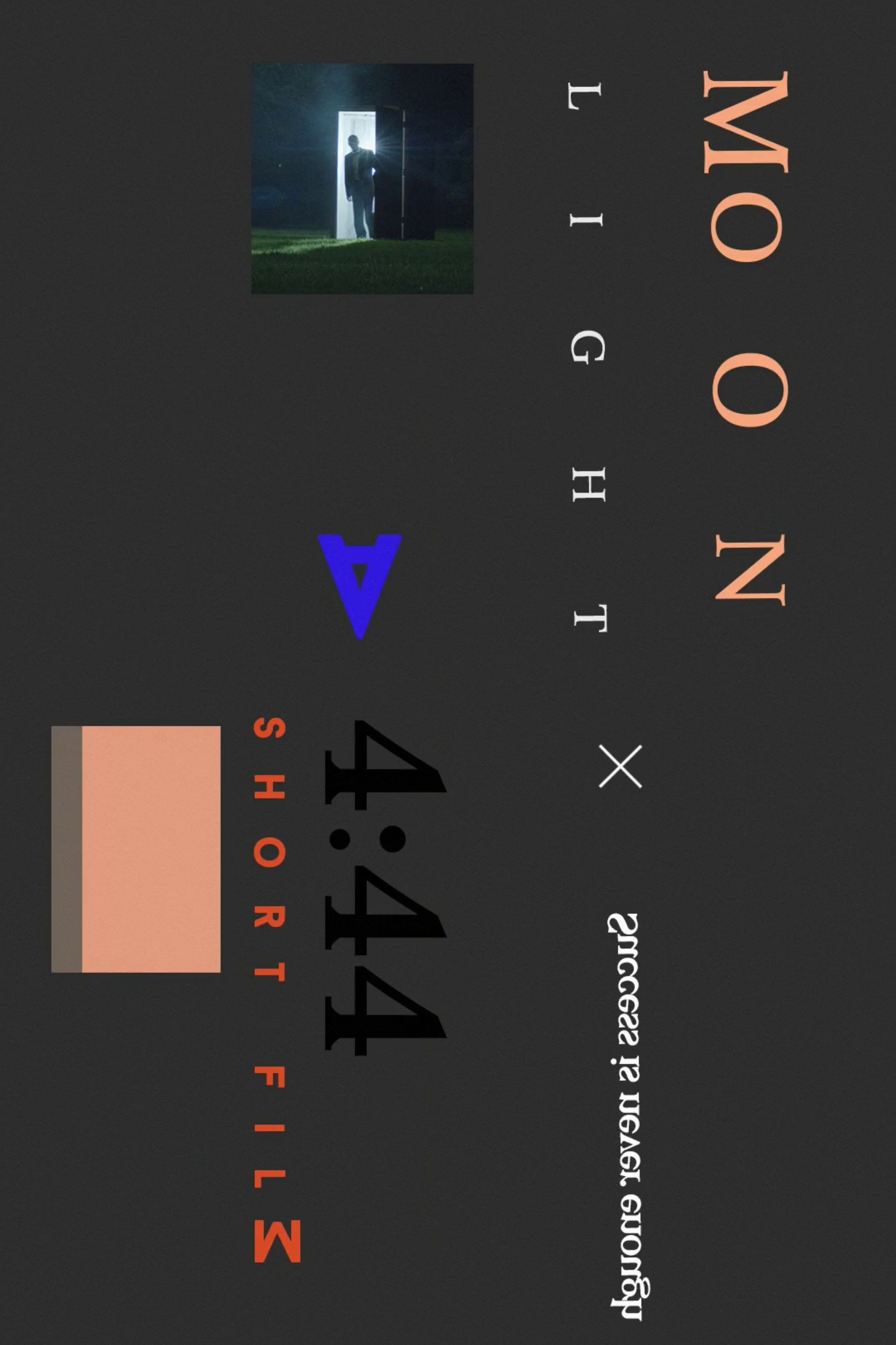 Moonlight (2017) poster