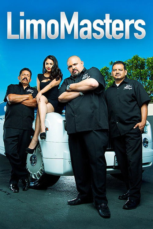 LimoMasters (2014) poster