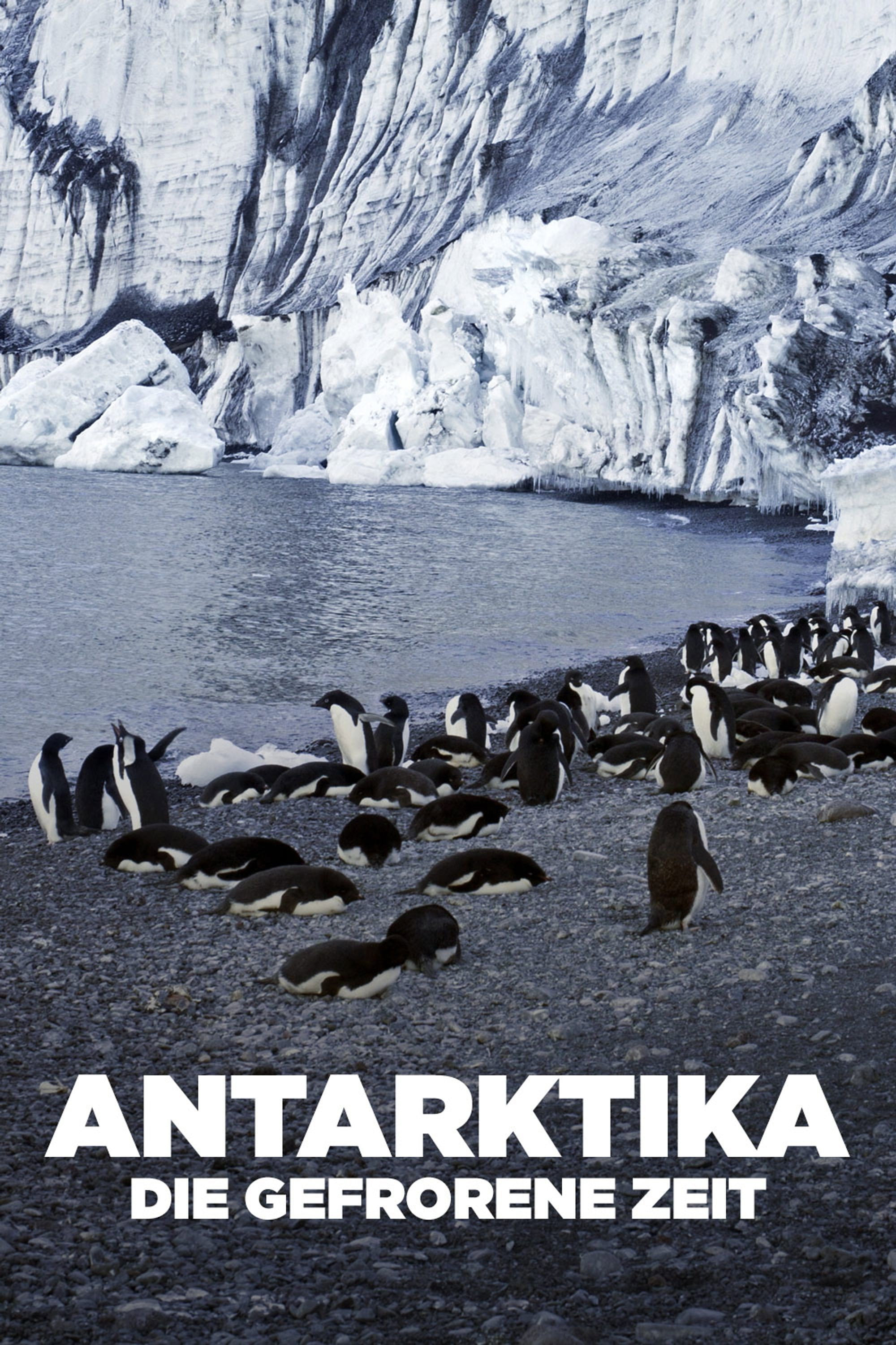 Antarctica: The Frozen Time (2021) poster