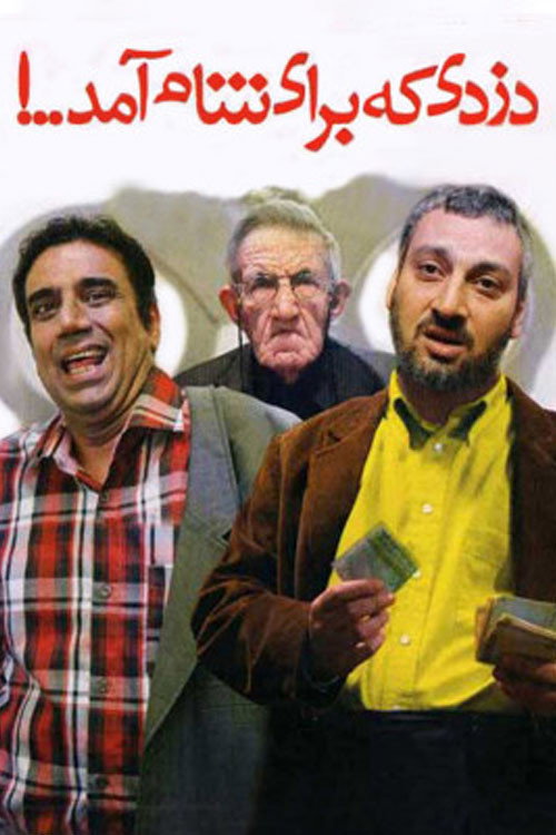 The Thief Who Came for Dinner (2013) poster