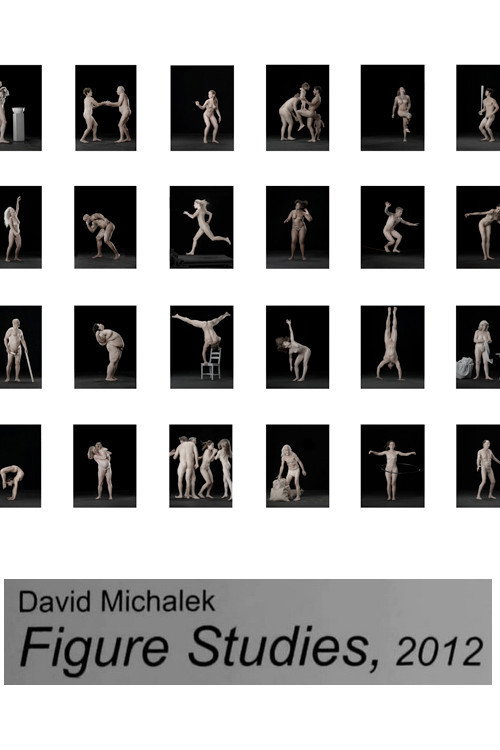 Figure Studies (2012) poster