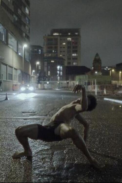 fawns of the city (2026) poster