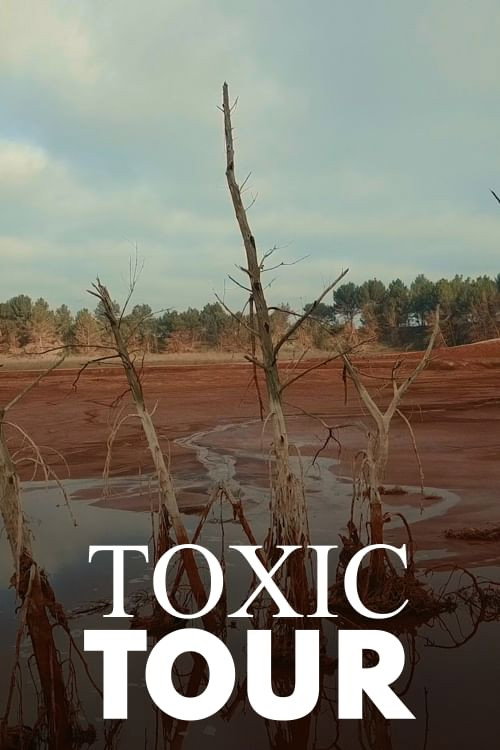 Toxic Tour (2022) poster