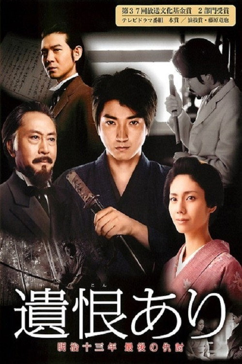 The Last Revenge (2011) poster