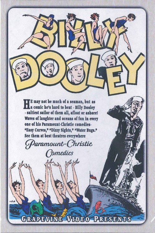 Dizzy Sights (1927) poster