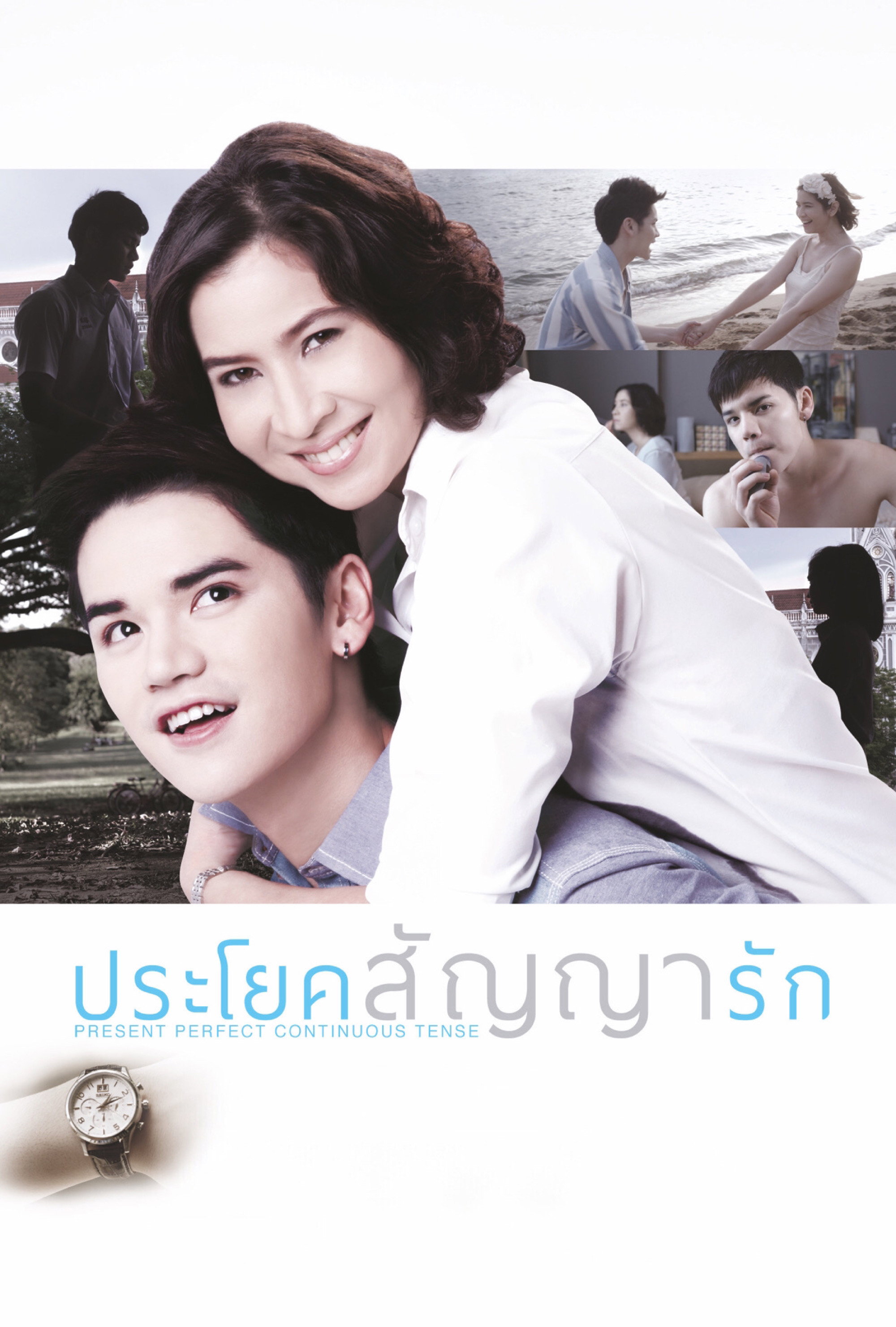 Present Perfect Continuous Tense (2013) poster