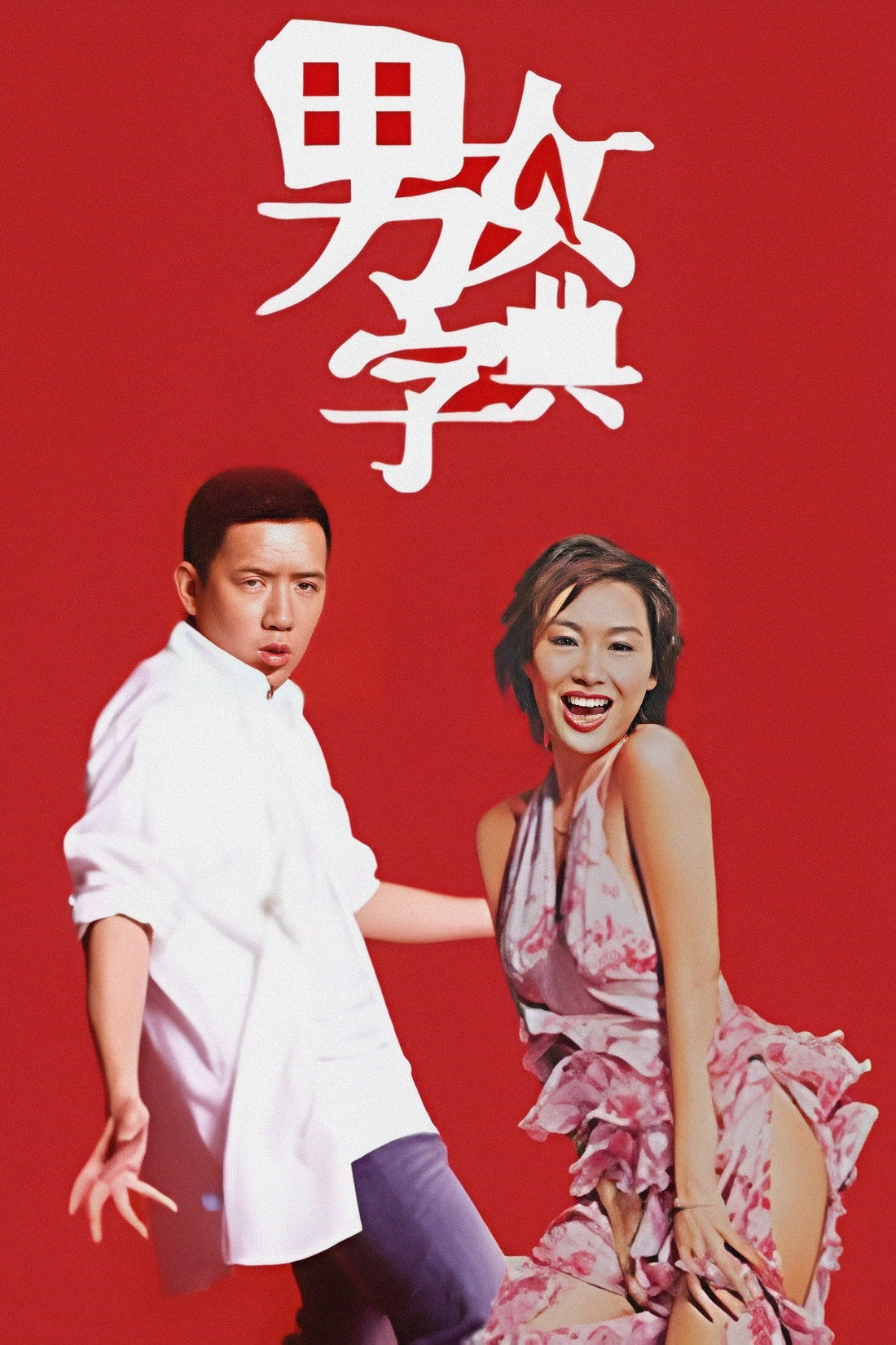 20/30 Dictionary (2004) poster