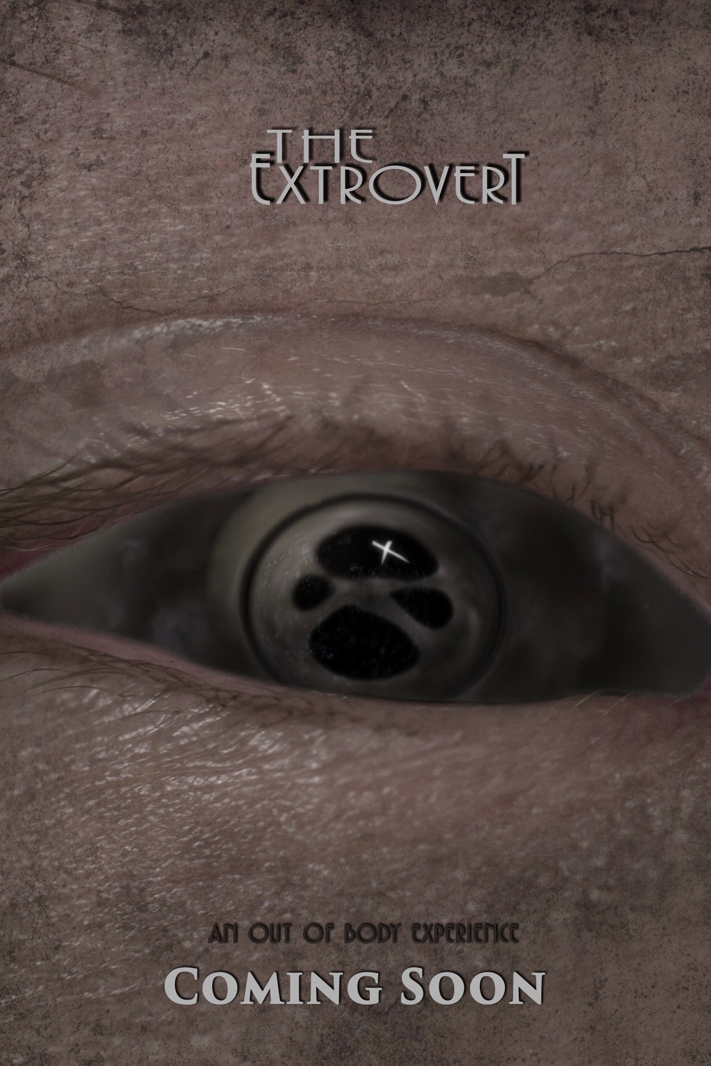 The Extrovert (2018) poster