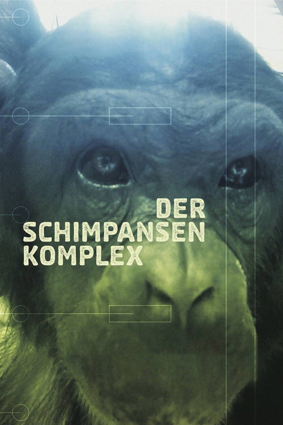 The Chimpanzee Complex (2014) poster