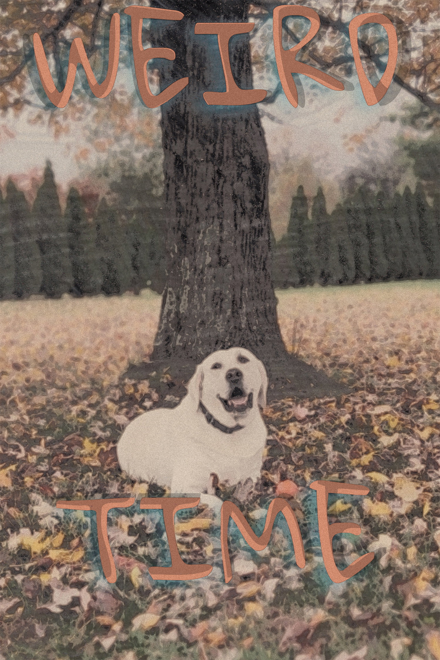 Weird Time (2025) poster