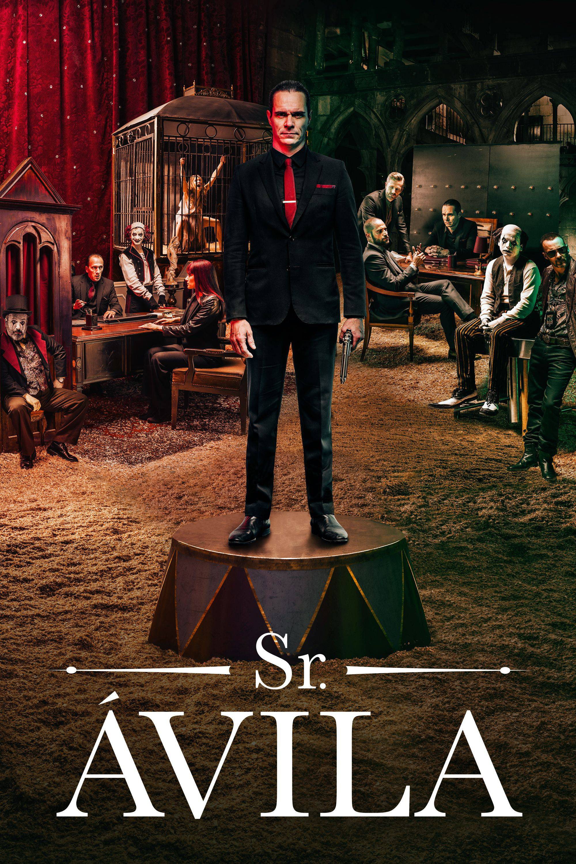 Sr. Avila (2013) poster