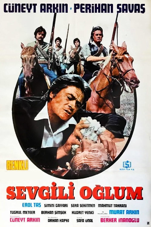 My dear son (1977) poster