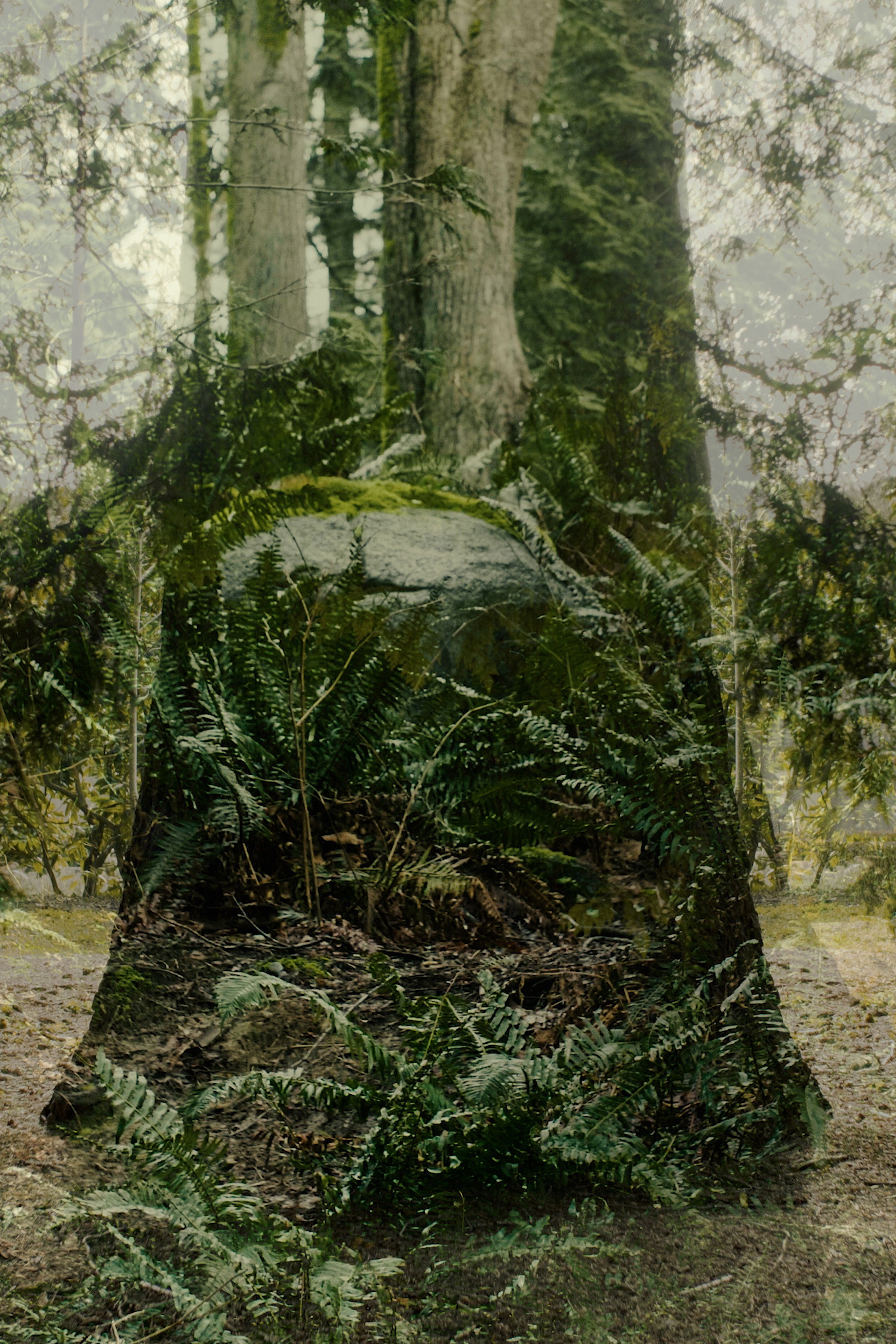 Vertical Remains (2026) poster