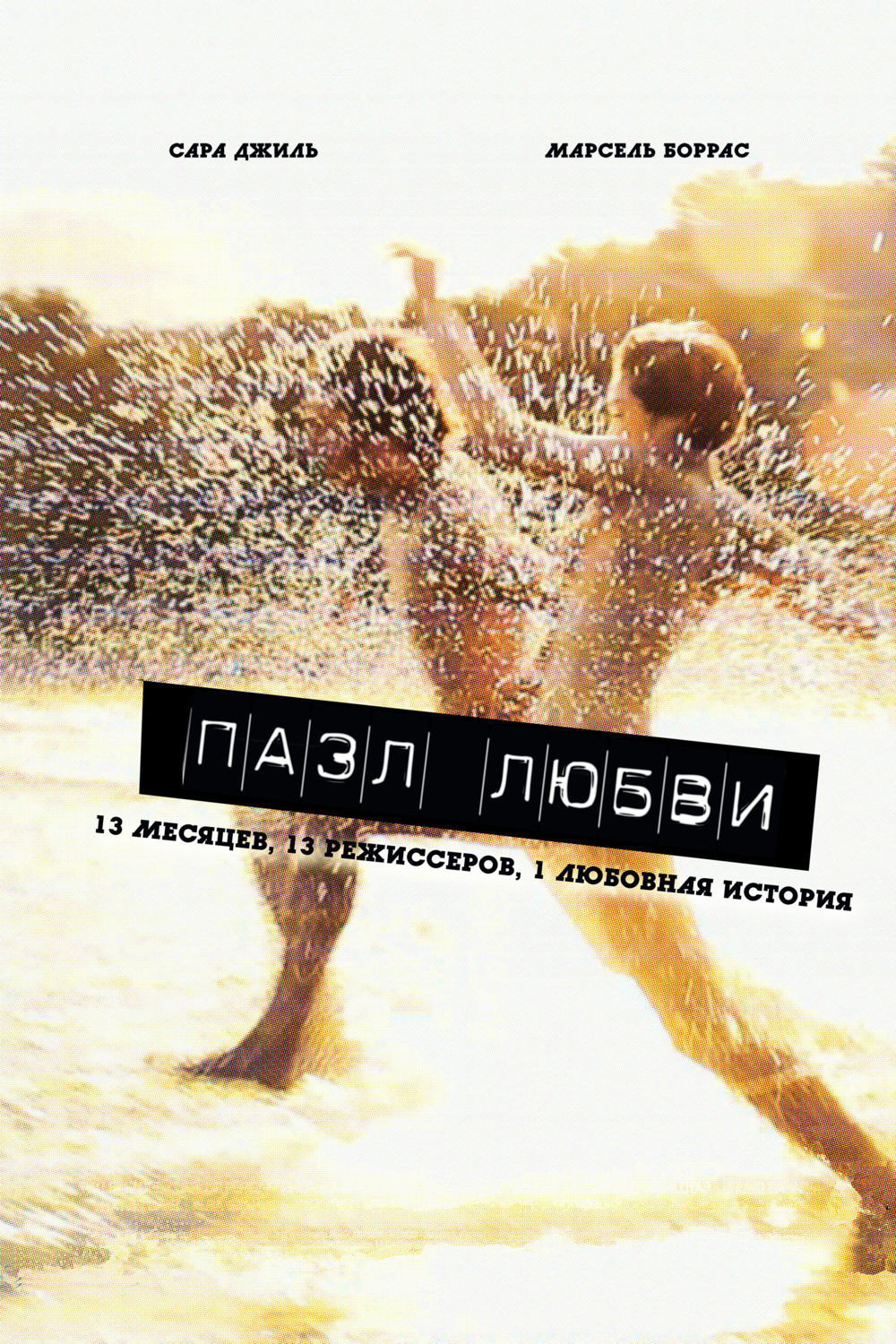 Puzzled Love (2010) poster