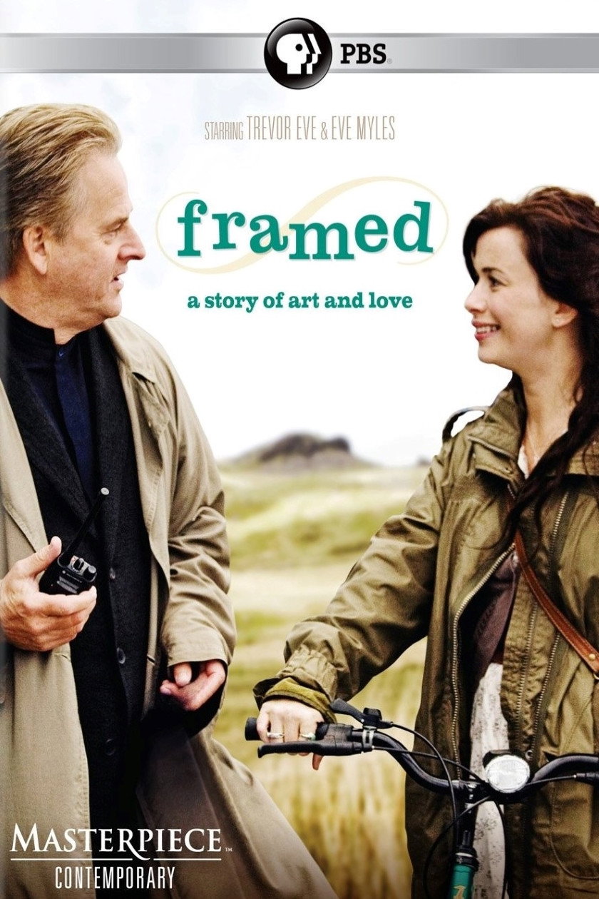 Framed (2009) poster