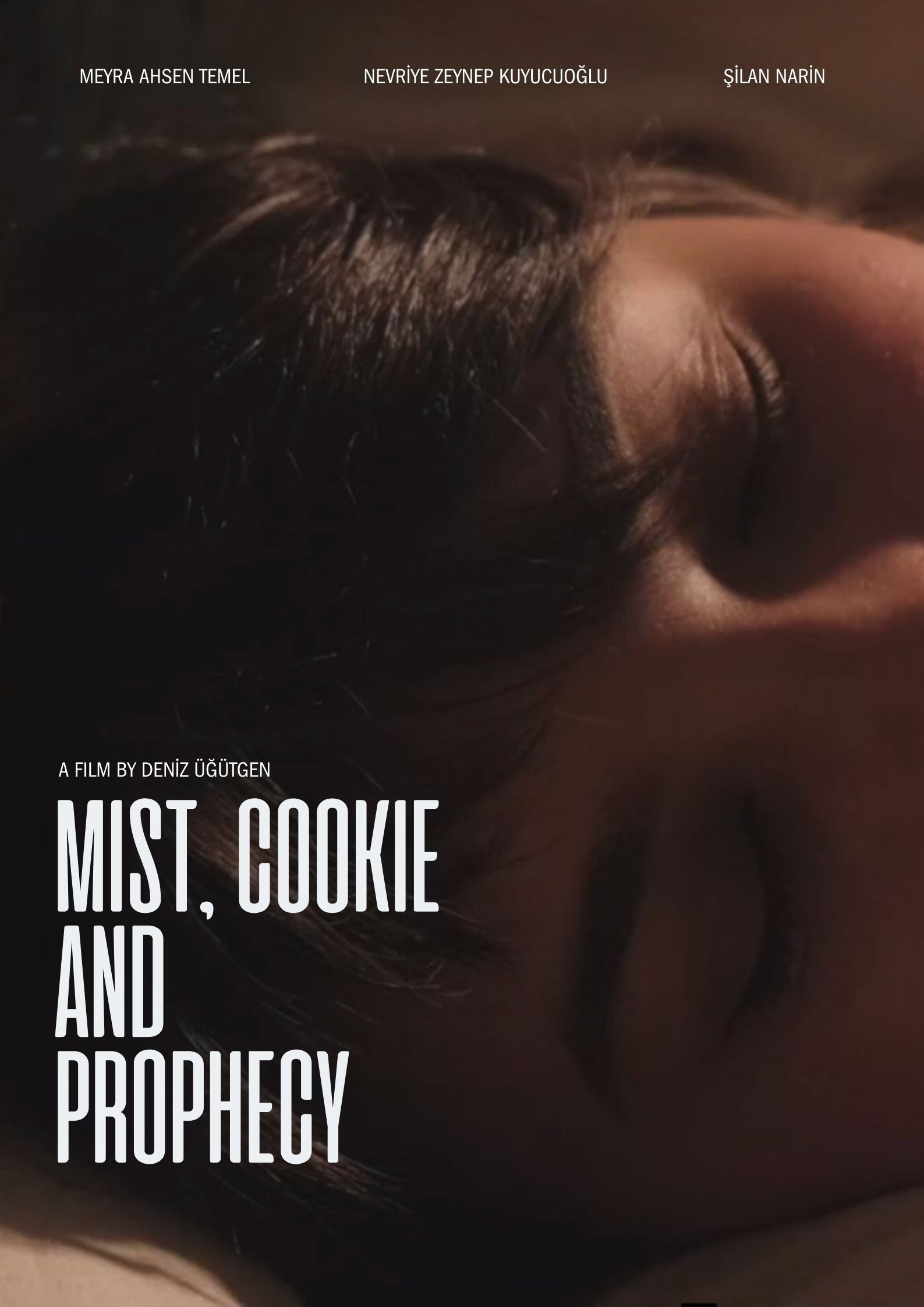 Mist, Cookie and Prophecy (2026) poster